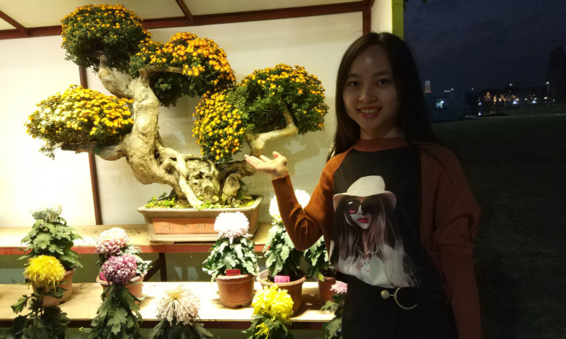圣元伙伴欣赏菊花