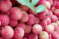 伟徳app夏季农家乐