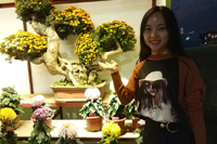 伟徳app伙伴齐约菊花展