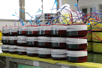 接6.3插簧全铜线环型变压器