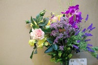 伟徳app鲜花盛开了！