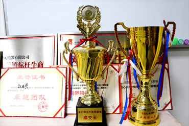 伟徳app荣誉奖杯