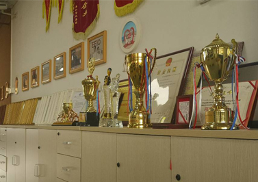 伟徳app-荣誉战绩