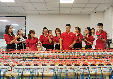 伟徳app管理人员环形变压器专业知识培训